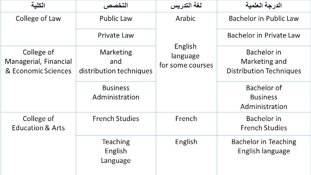 تخصصات جامعة لوسيل قطر