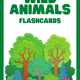  Wild Animals Flashcards